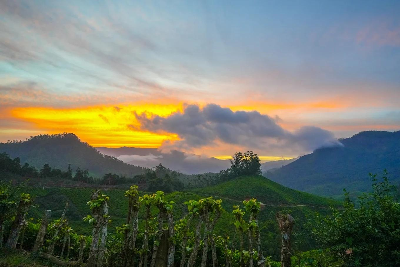 Ice Mist Resort Munnar by VOYE HOMES x Solis Nature