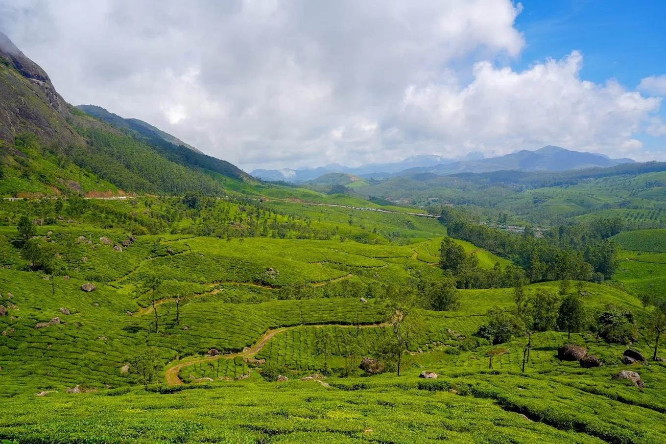 Ice Mist Resort Munnar by VOYE HOMES x Solis Nature