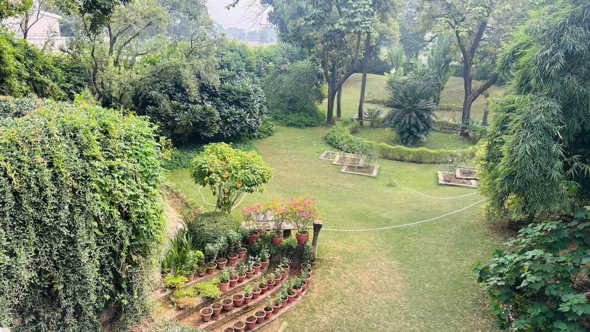 Willows Estate | 5BHK Rustic Pool Farm @ Gurgaon x Solis Nature