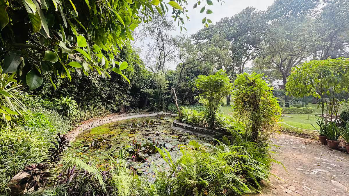 Willows Estate | 5BHK Rustic Pool Farm @ Gurgaon x Solis Nature