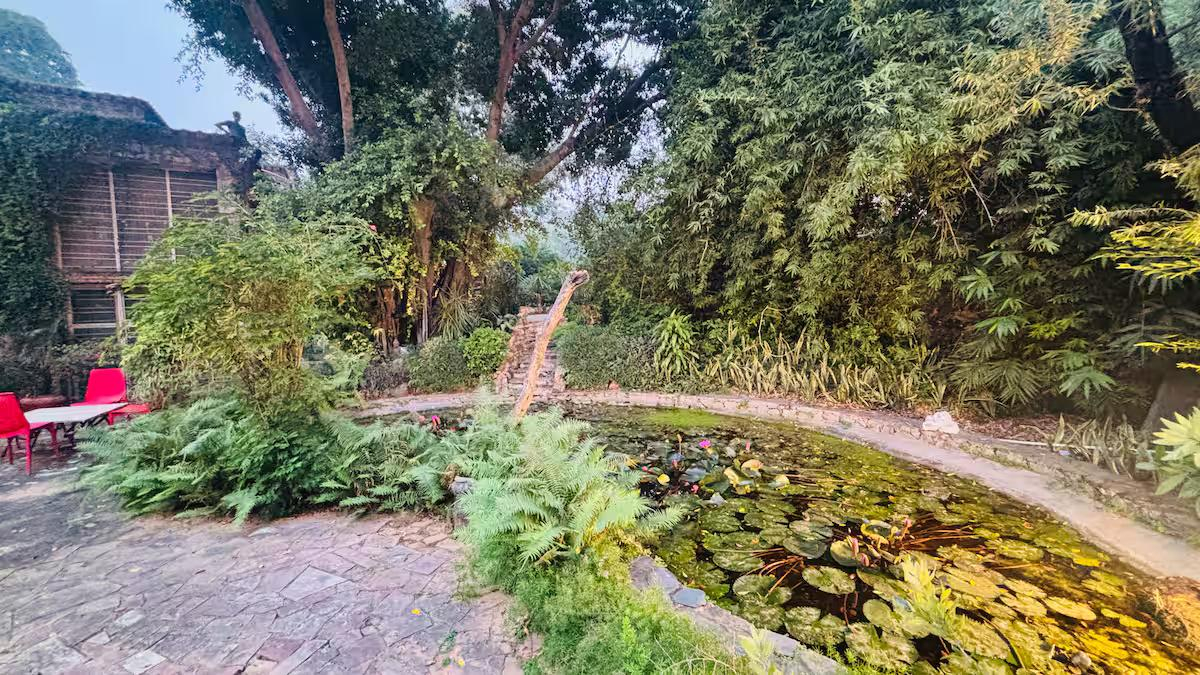 Willows Estate | 5BHK Rustic Pool Farm @ Gurgaon x Solis Nature