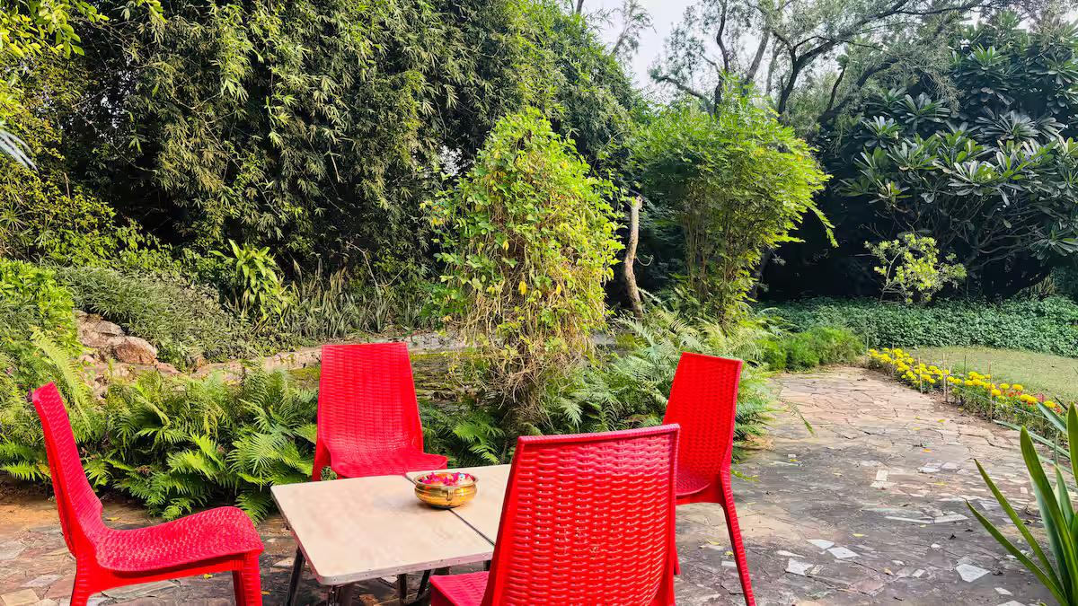 Willows Estate | 5BHK Rustic Pool Farm @ Gurgaon x Solis Nature