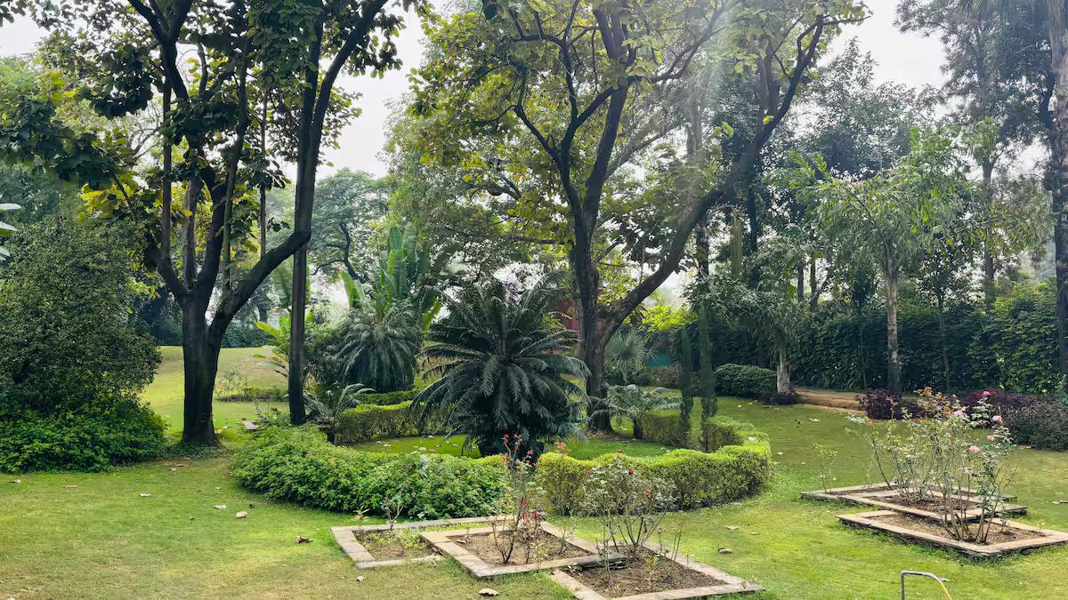 Willows Estate | 5BHK Rustic Pool Farm @ Gurgaon x Solis Nature