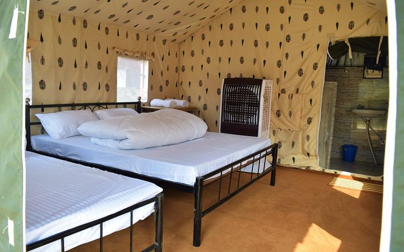 Camp Crossfire x Solis Nature