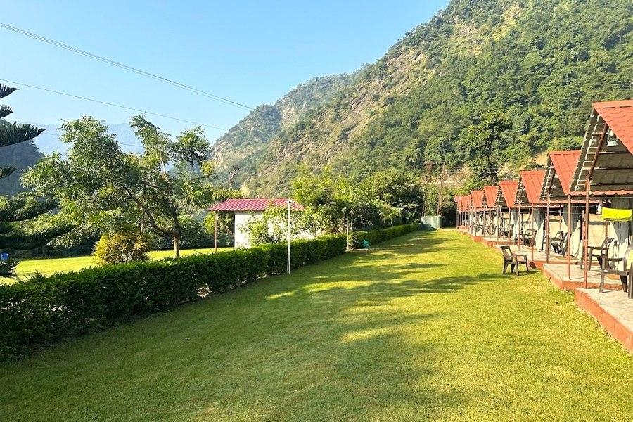 Camp Crossfire x Solis Nature