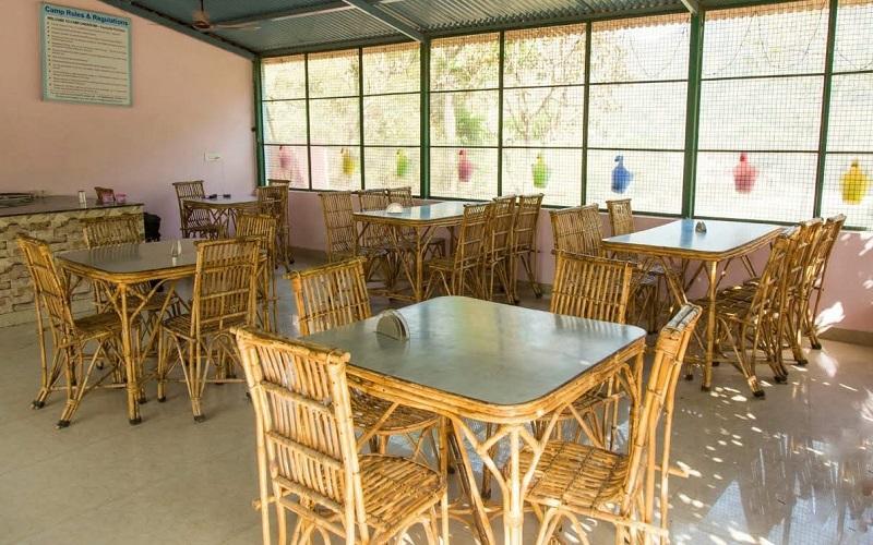 Camp Crossfire x Solis Nature