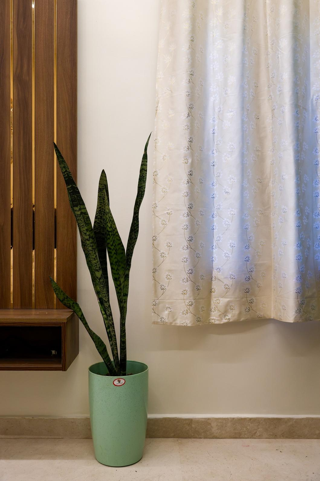 The Wayne Manor x Solis Nature