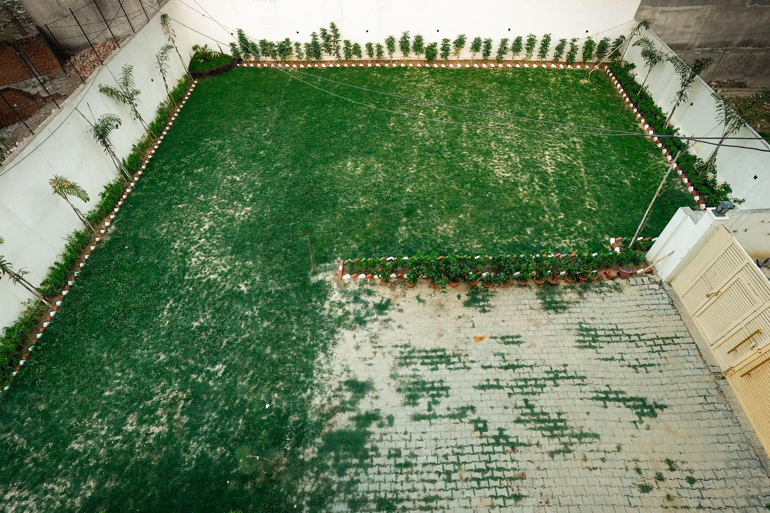 The Wayne Manor x Solis Nature