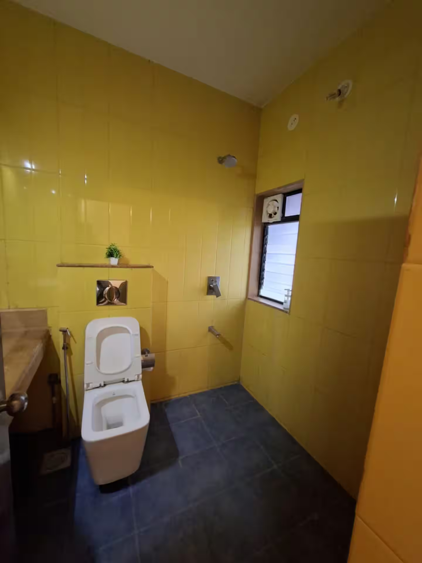 Anantam - C001 x Solis Nature