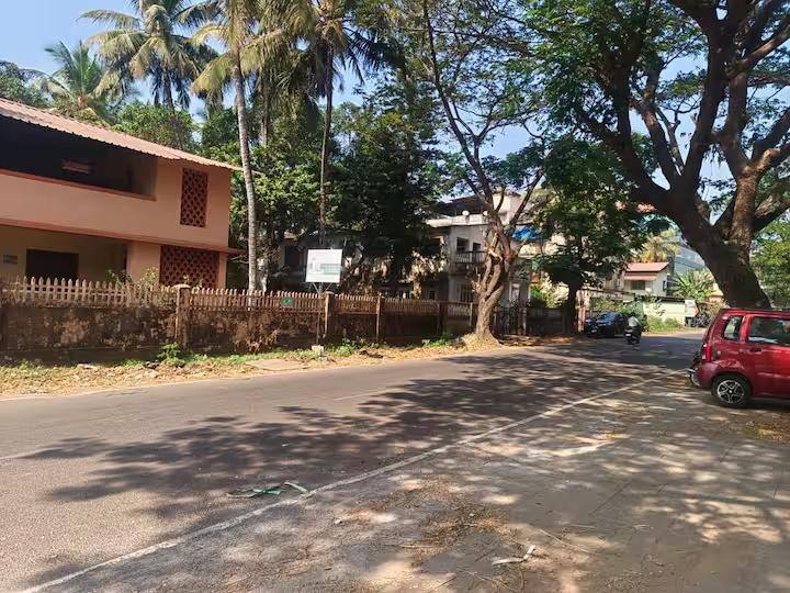 PH-04  Pali Heights x Solis Nature