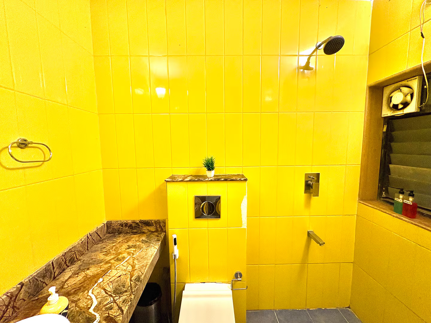 Anantam D002 x Solis Nature