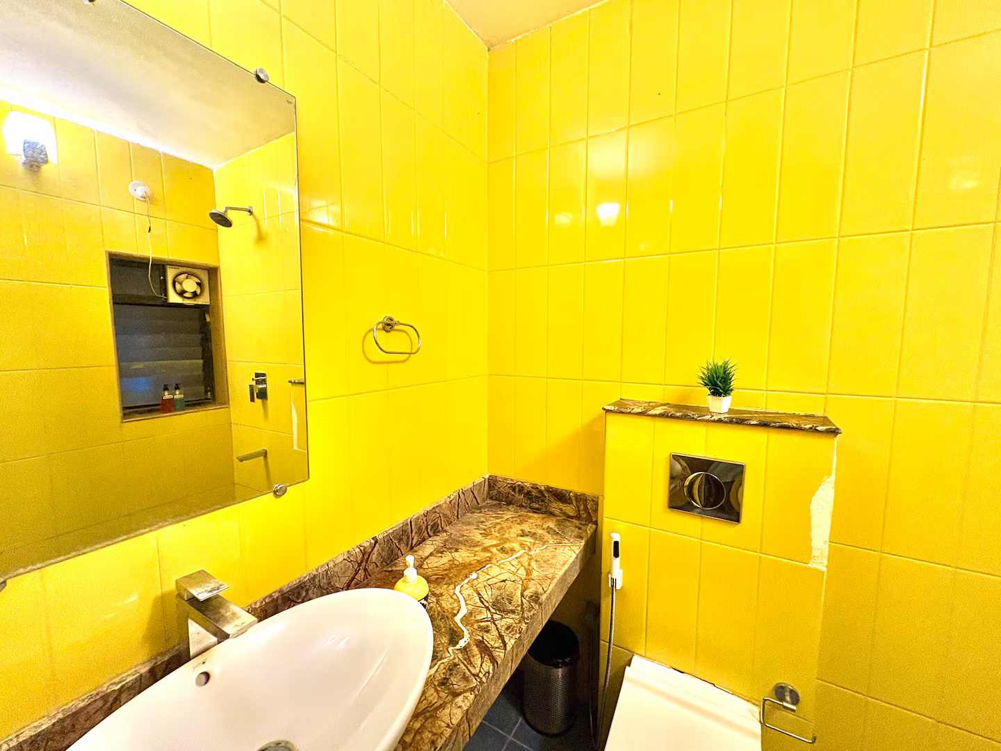 Anantam D002 x Solis Nature