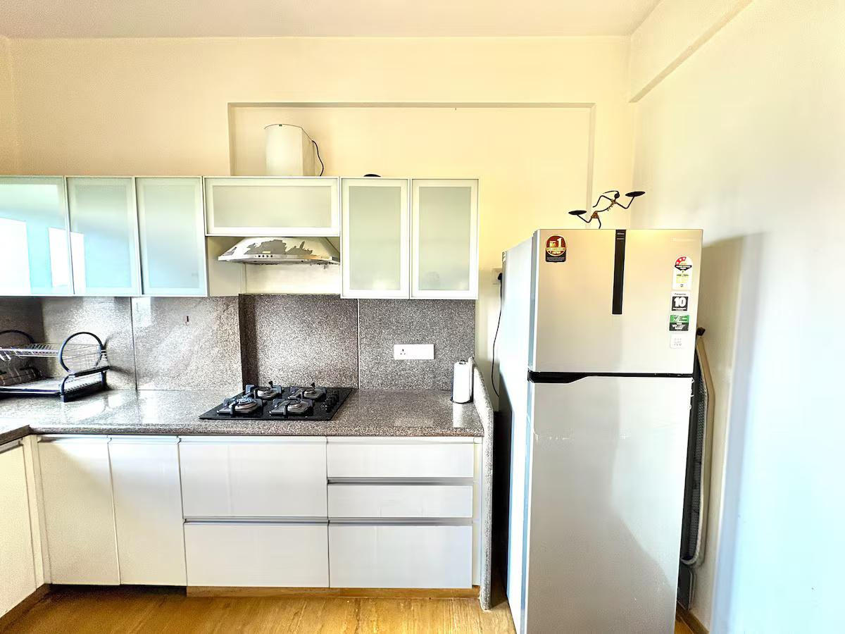 Anantam E301 x Solis Nature