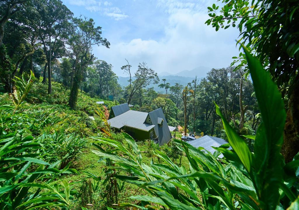 The Yela Munnar by VOYE HOMES x Solis Nature