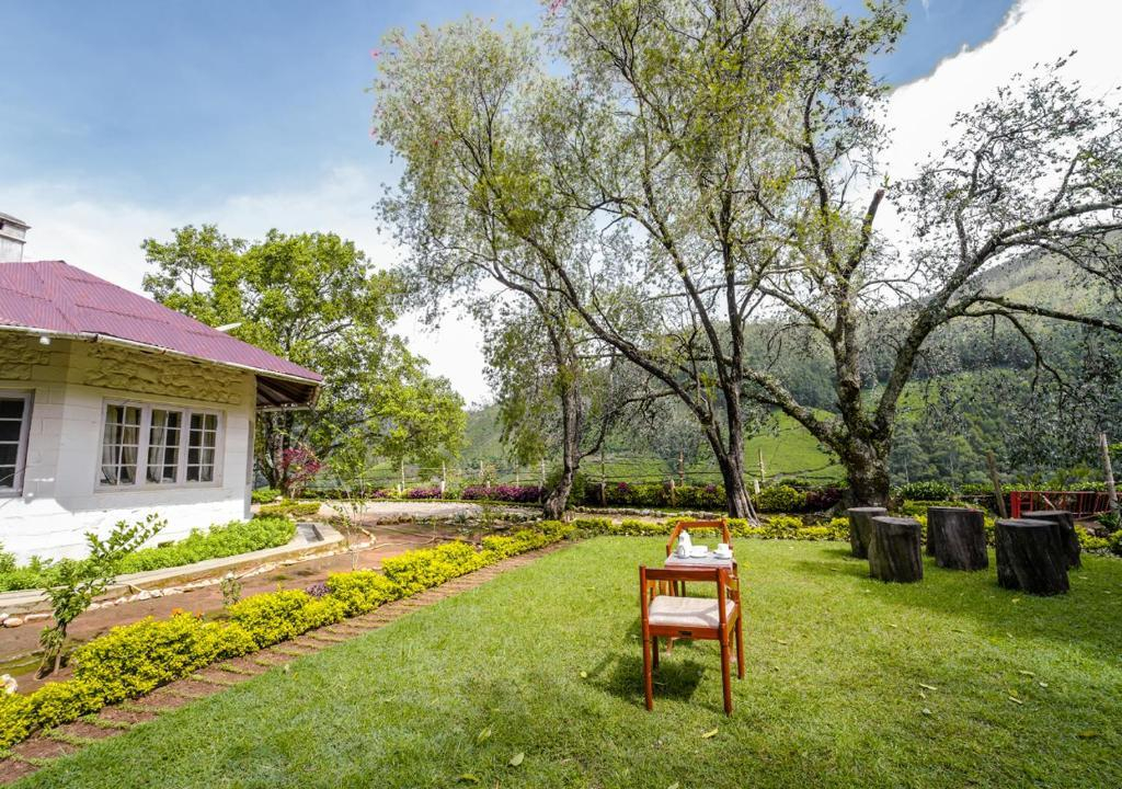 Arivikad Tea Bungalow Munnar by VOYE HOMES x Solis Nature