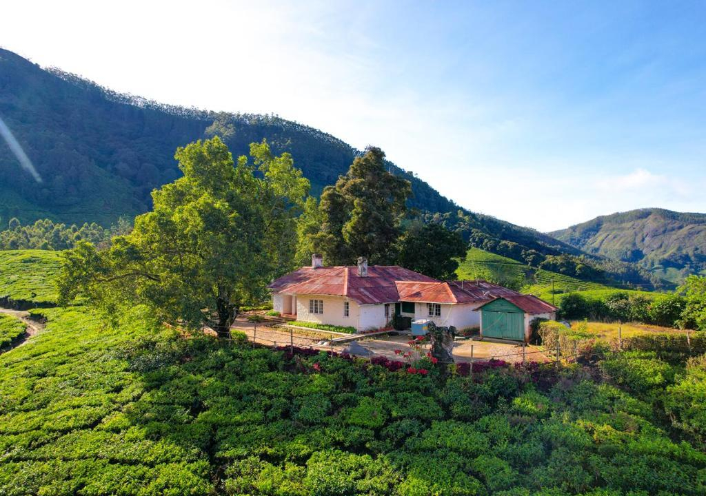 Arivikad Tea Bungalow Munnar by VOYE HOMES x Solis Nature