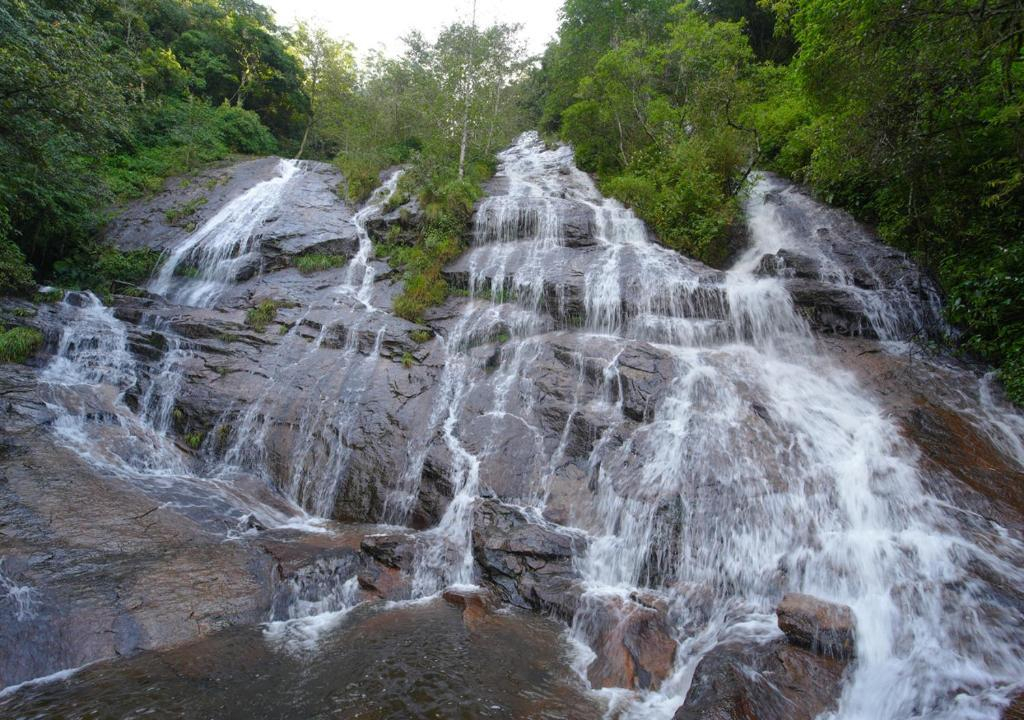 Arivikad Tea Bungalow Munnar by VOYE HOMES x Solis Nature