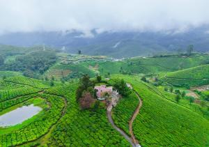 Arivikad Tea Bungalow Munnar by VOYE HOMES x Solis Nature