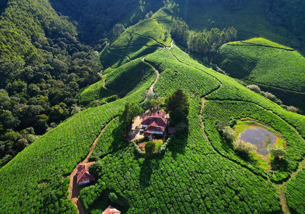 Arivikad Tea Bungalow Munnar by VOYE HOMES x Solis Nature