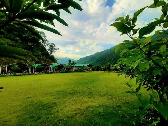 Camp Majestic x Solis Nature