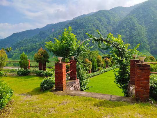 Camp Majestic x Solis Nature