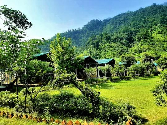 Camp Majestic x Solis Nature