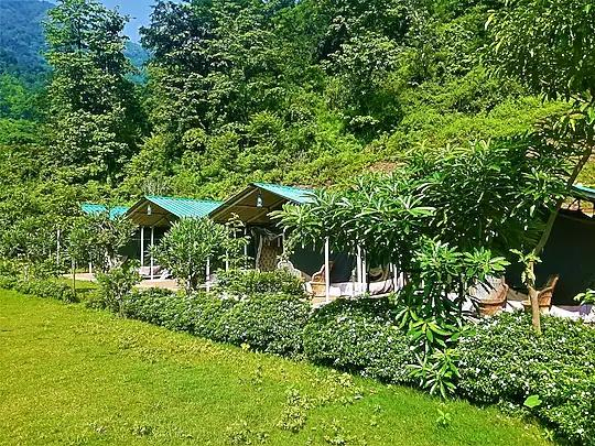 Camp Majestic x Solis Nature