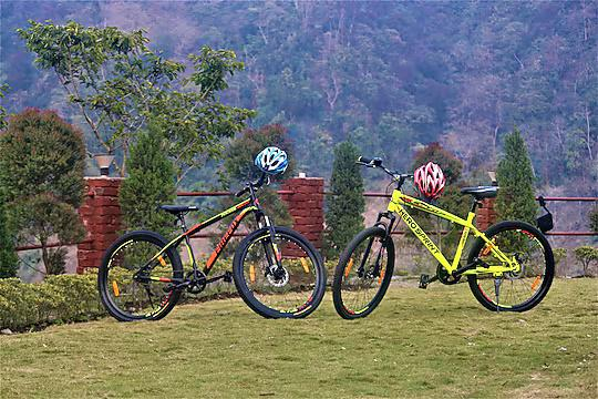 Camp Majestic x Solis Nature