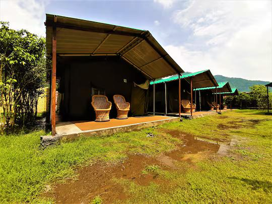 Camp Majestic x Solis Nature