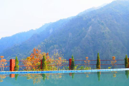 Camp Majestic x Solis Nature