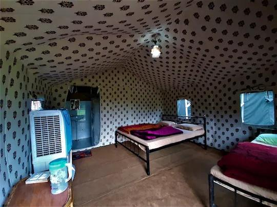 Camp Majestic x Solis Nature