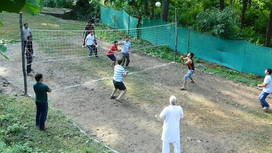 Camp Majestic x Solis Nature