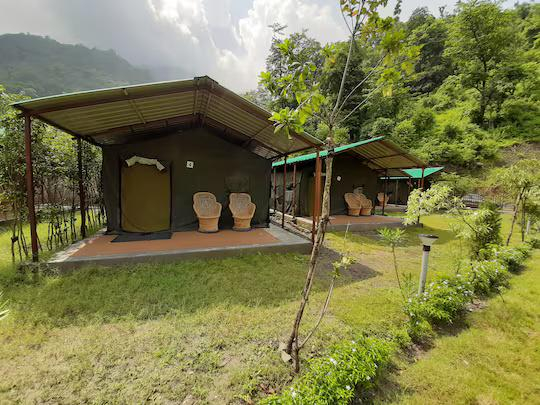 Camp Majestic x Solis Nature