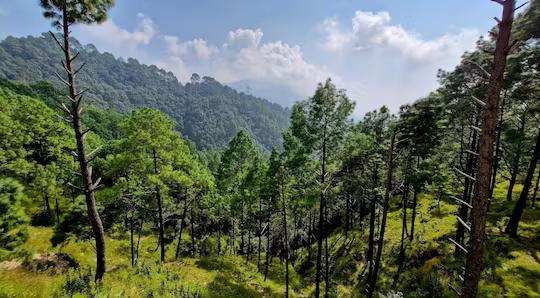 Red Roof Resort Lansdowne x Solis Nature