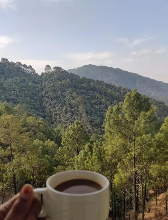 Red Roof Resort Lansdowne x Solis Nature