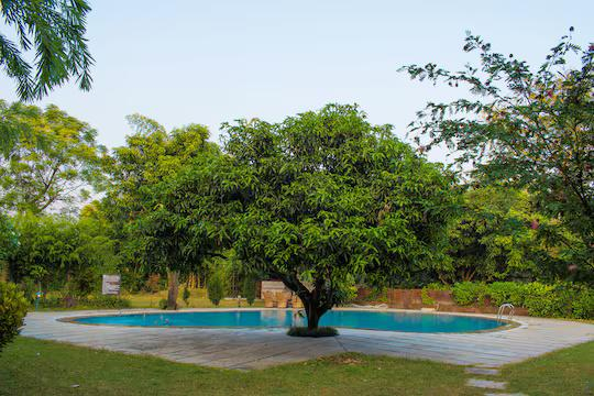 Serenity Corbett Resort x Solis Nature