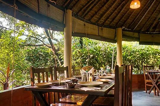 Serenity Corbett Resort x Solis Nature