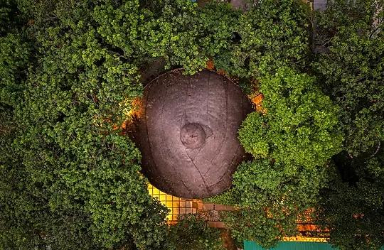 Serenity Corbett Resort x Solis Nature