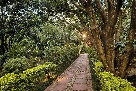 Serenity Corbett Resort x Solis Nature