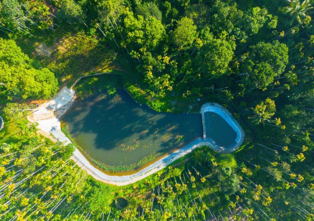 UshaSree Resort by VOYE HOMES x Solis Nature
