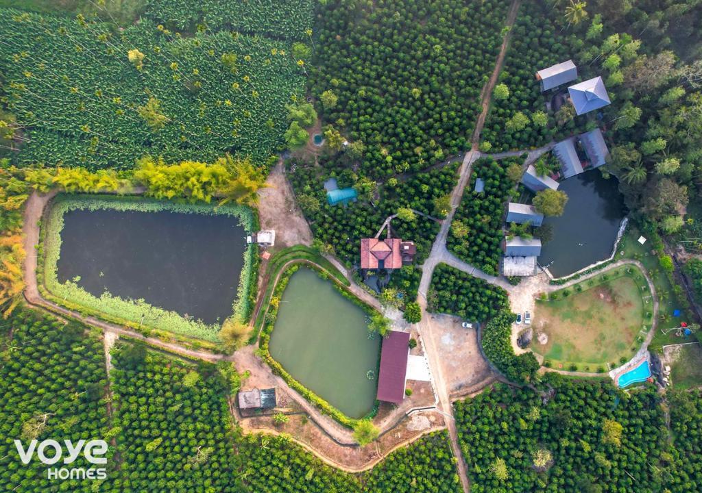 Niyatma Resort Wayanad by VOYE HOMES x Solis Nature