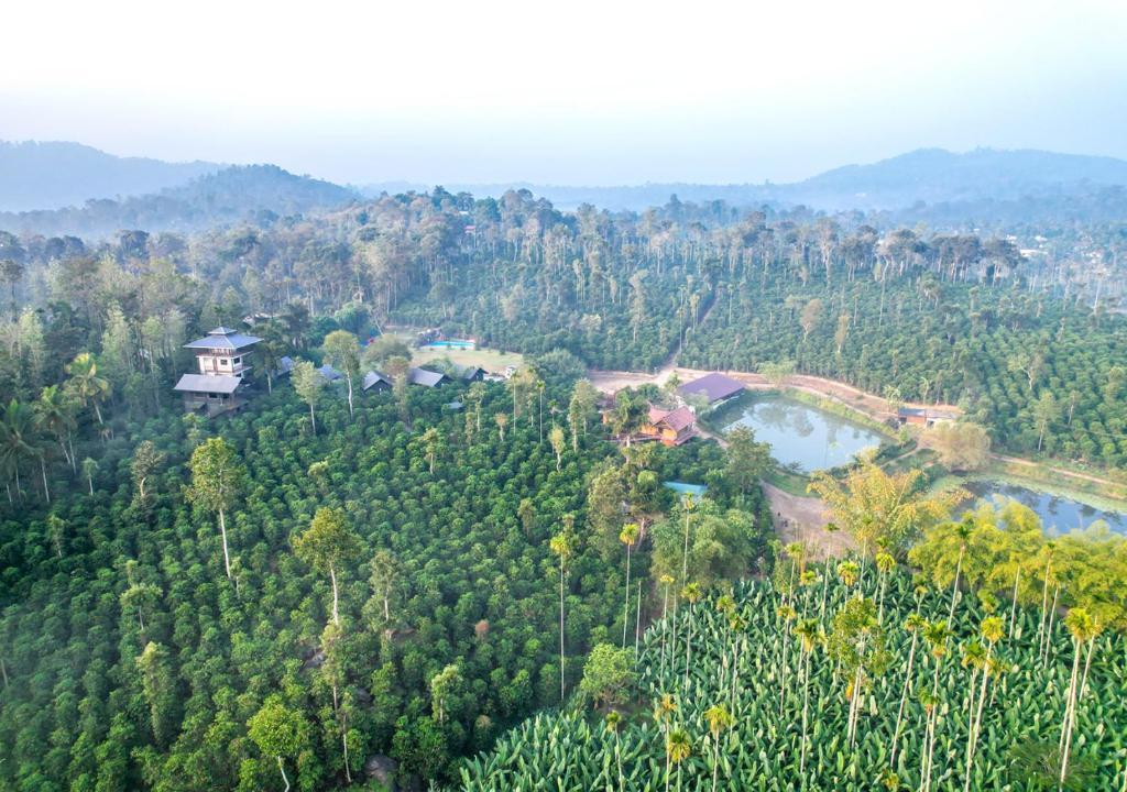 Niyatma Resort Wayanad by VOYE HOMES x Solis Nature