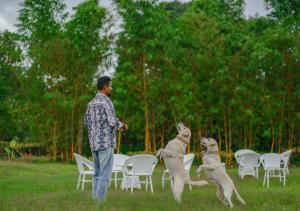 Kedara Resort Wayanad by VOYE HOMES x Solis Nature