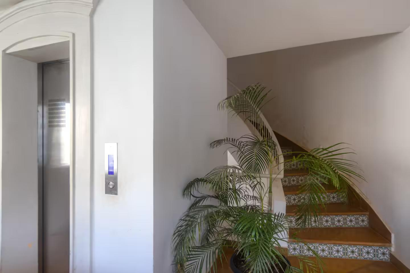 El Sereno 2BHK x Solis Nature