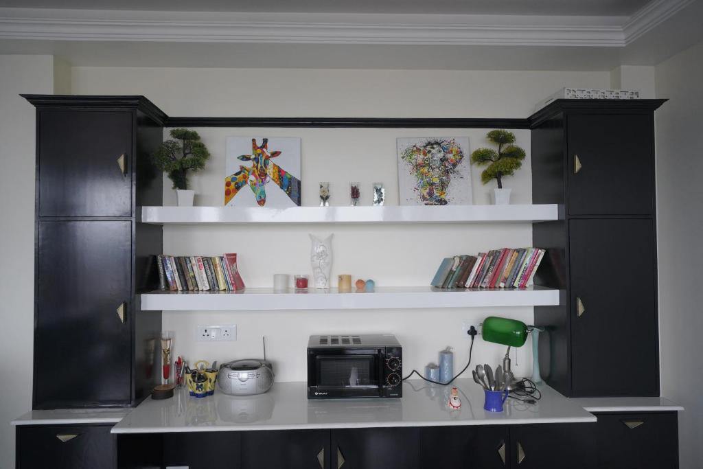 La Bamba Homes x Solis Nature