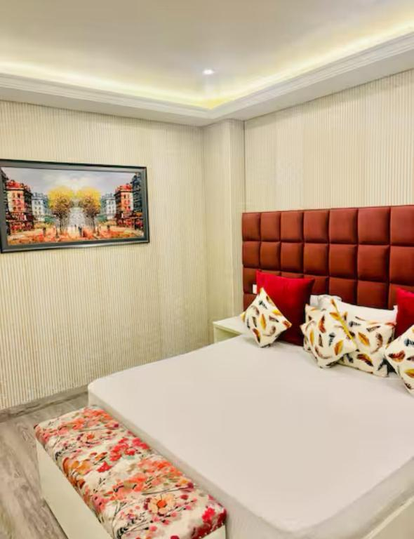 La Bamba Homes x Solis Nature