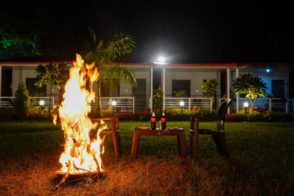 Ekantam Riverside Resort x Solis Nature