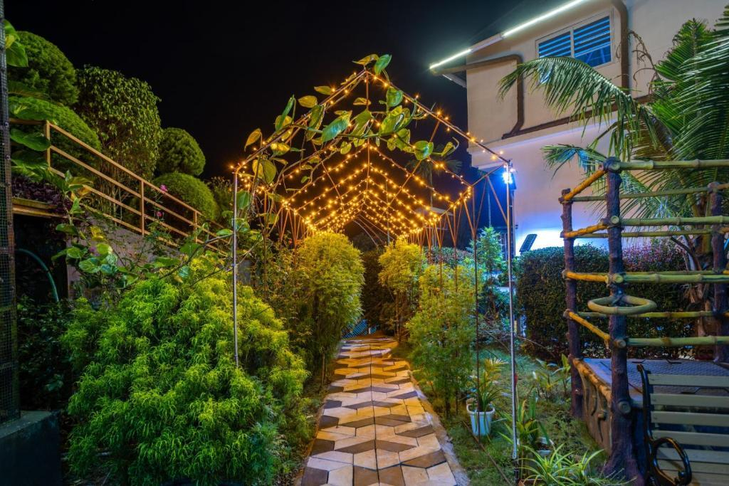 Star Emirates Luxury Resort and Spa, Munnar x Solis Nature