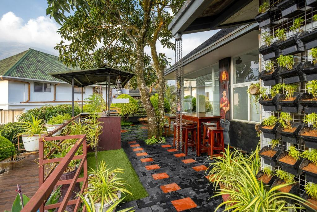 Star Emirates Luxury Resort and Spa, Munnar x Solis Nature