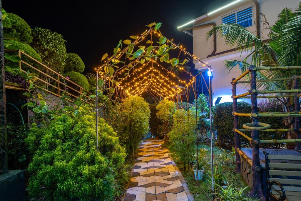 Star Emirates Luxury Resort and Spa, Munnar x Solis Nature